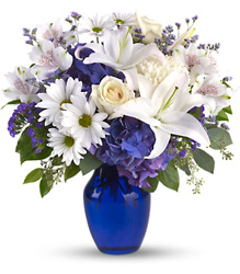 Beautiful in Blue from Arjuna Florist in Brockport, NY